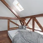 Bright And Spacious Attic Apartment