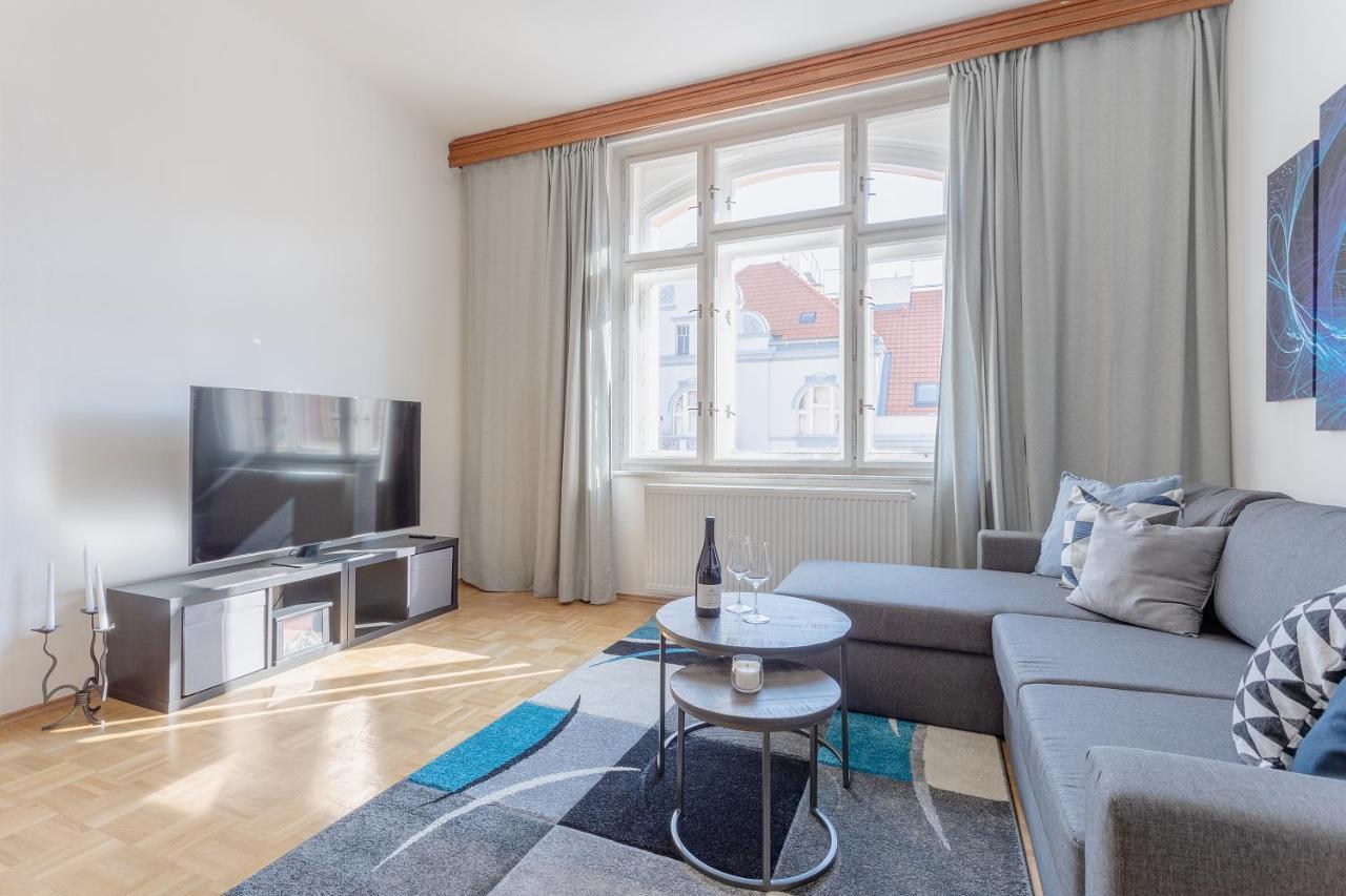 Bright And Spacious Attic * Praga