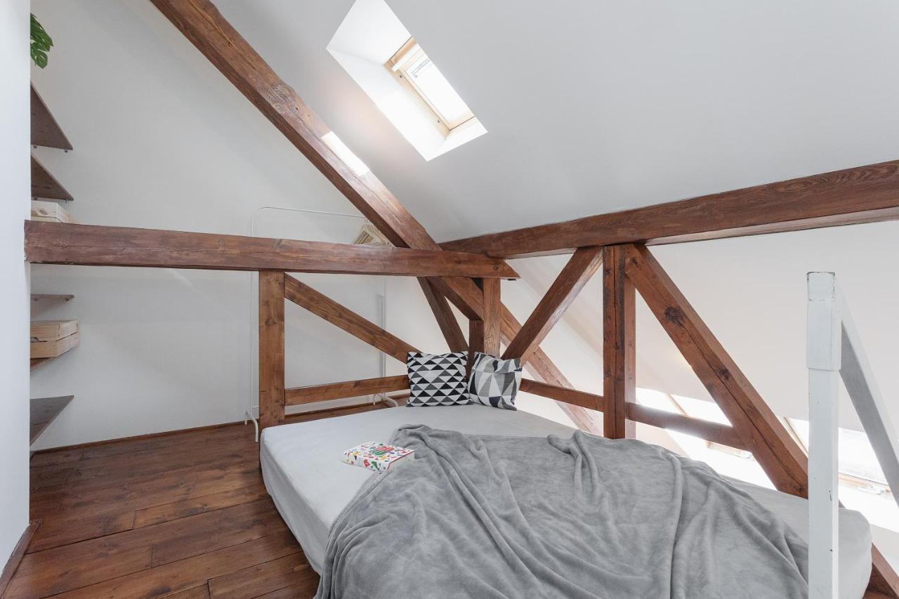 Bright And Spacious Attic Apartament Praga